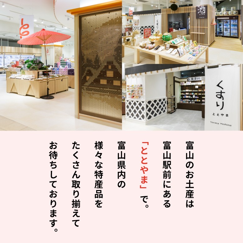 ととやま説明